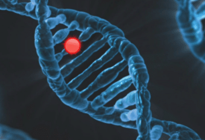 Orthodontic problems: how genetics play a role 3 Illustration of dna and its connection to orthodontic problems